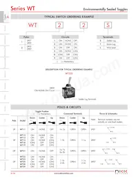 WT22L Datasheet Page 3