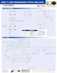 ASEP-BLANK Datasheet Page 2