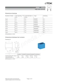 B32652A2821J000 Datasheet Pagina 3