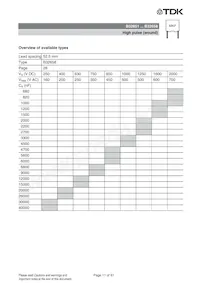 B32652A2821J000 Datasheet Pagina 11