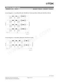 B84299D1630B3 Datasheet Page 6