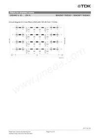 B84299D1630B3 Datasheet Page 8