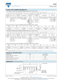 CSC11B0110K0FPA Datasheet Page 2