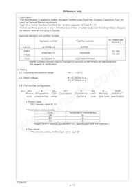 DE21XSA680KN3AX02F Datasheet Page 5