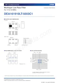 DEA161910LT-5003C1數據表 頁面 2