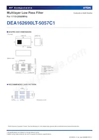 DEA162690LT-5057C1 Datasheet Page 2