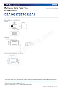 DEA165375BT-2122A1 Datasheet Page 2