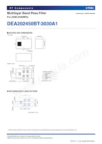 DEA202450BT-3030A1 Datasheet Page 2