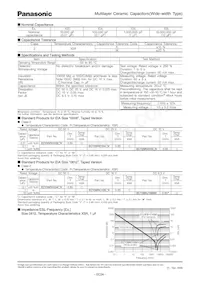 ECY-39RJ106MV Datasheet Page 2