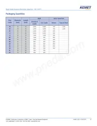 ESZ106M450AK5AA Datasheet Page 13