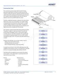 ESZ106M450AK5AA Datasheet Pagina 17