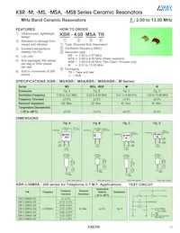 K50-CS1SE8.1920M Datasheet Page 18