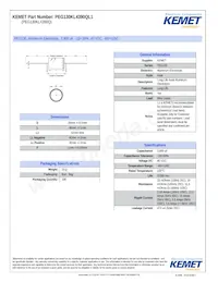 PEG130KL4390QL1 Datenblatt Cover