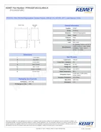 PFR5102F100J11L4BULK Datasheet Cover