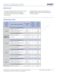 PME278RA4470MR30 Datasheet Page 2