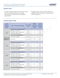 PME278RA4470MR30 Datasheet Pagina 2