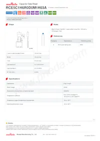 RCE5C1H6R0D0M1H03A Datenblatt Cover