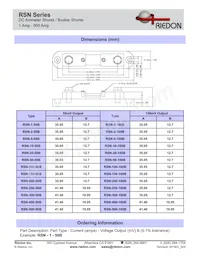 RSN-200-50B Datasheet Pagina 2