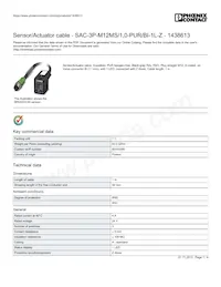 1438613 Datasheet Copertura