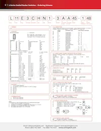 L22D1S001-AZZ00-000 Datasheet Page 4