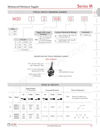 M2013TYW01-JA Datasheet Page 2