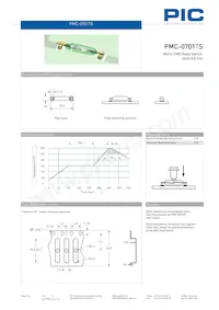 PMC-0701TS1015 Datasheet Page 2