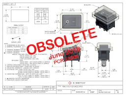 RA111C1121/ACC-P01 Datasheet Copertura