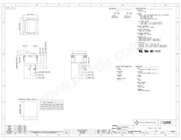 RA411C1100 데이터 시트 표지