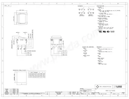 RA41G31900 Datasheet Copertura