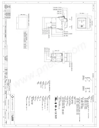 RB242D1021-117/ACC-F02-1 Datasheet Cover