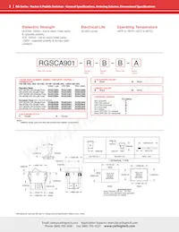 RGSCC211-R-B-B-E Datasheet Page 2