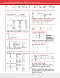 VMBJ000B-6ZZ00-000 Datasheet Page 5