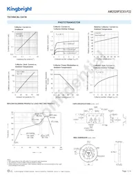 AM2520P3C03-P22 Datasheet Pagina 3