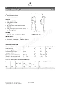 B59585B1150A70 Datasheet Pagina 2