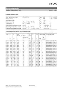 B59970C80A53 Datenblatt Seite 3