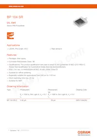 BP 104 SR-Z Datasheet Copertura