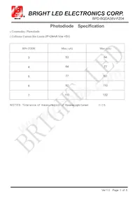 BPD-BQDA38V-FZ04 Datasheet Pagina 5