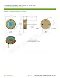 C30641GH Datasheet Page 11