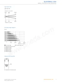 GL10-R3812 Datasheet Pagina 5