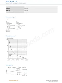 GSE6-P4111 Datasheet Page 4