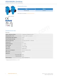 HSE18-B4A2BA Datasheet Pagina 2