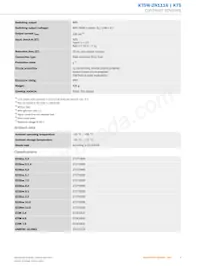 KT5W-2N1116 Datasheet Page 3