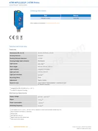 KTM-WP11181P Datasheet Pagina 2