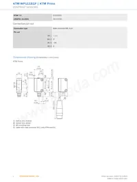 KTM-WP11181P Datasheet Pagina 4