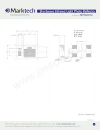 MTRS0013C Datasheet Page 2