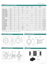 RL2048PAG-021 Datasheet Page 14