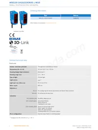 WSE16I-1H162100A00 Datasheet Pagina 2