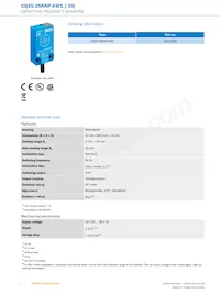 CQ35-25NNP-KW1 Datasheet Page 2