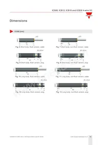 ICB12S30F04NAM1 Datasheet Page 12