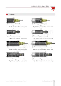 ICB12S30F04NAM1 Datasheet Page 14